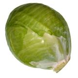 Weißkohl, eigen