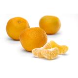 Clementinen, frisch