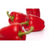 Paprika rot, frisch