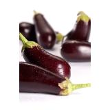 Aubergine, frisch