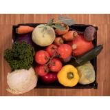 Gemüse Kiste groß II