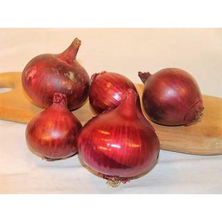 Zwiebeln, rot, eigen