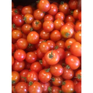 Tomate, Cockt., eig.