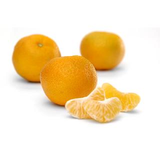 Clementinen, frisch