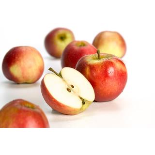 Apfel, frisch