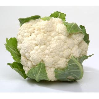 Blumenkohl, frisch