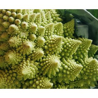 Blumenkohl Romanesco, frisch