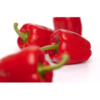 Paprika rot, frisch