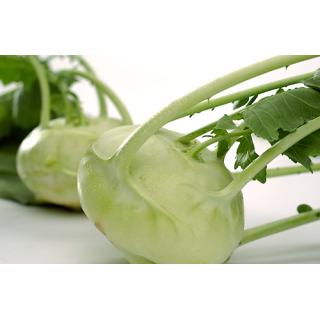 Kohlrabi, frisch