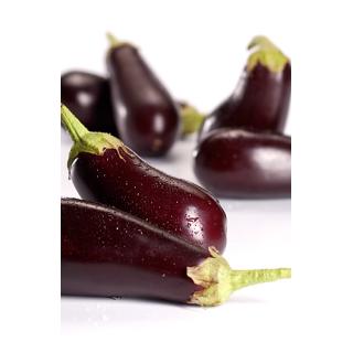 Aubergine, frisch