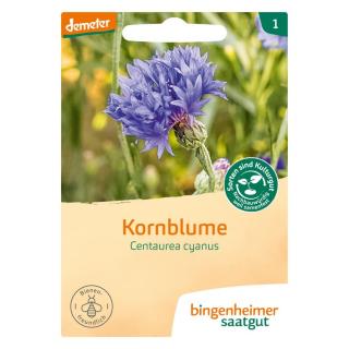 Kornblume - blau