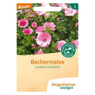 Bechermalve