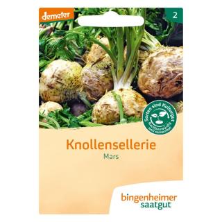 Knollensellerie Mars