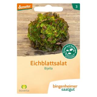 Eichblattsalat Bijella