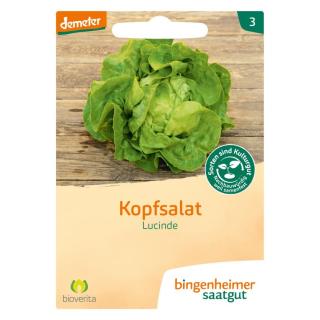 Kopfsalat