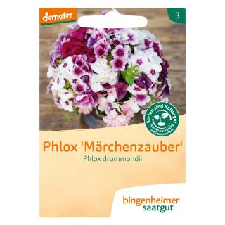 Phlox Märchenzauber