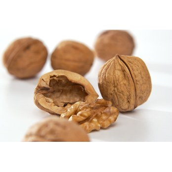 Walnüsse, frisch