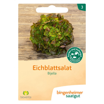 Eichblattsalat Bijella