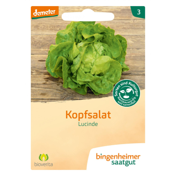 Kopfsalat