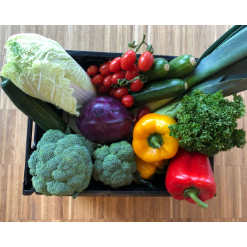 Gemüse Kiste mittel