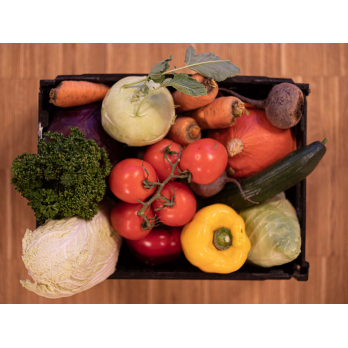 Gemüse Kiste groß II