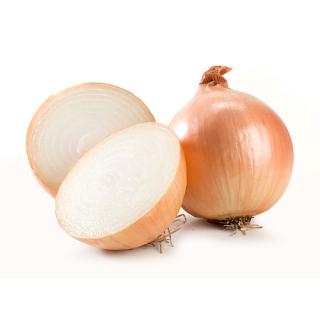 Zwiebeln, eigen