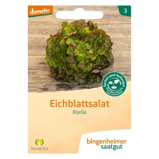Eichblattsalat Bijella