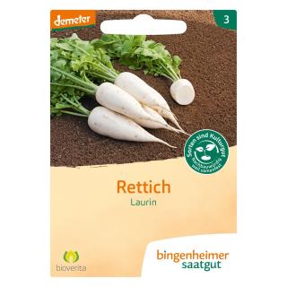 Rettich Laurin