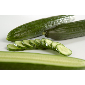 Gurke, frisch
