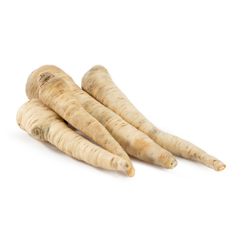 Wurzelpetersilie, frisch