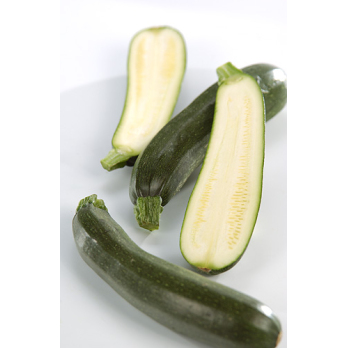 Zucchini, frisch