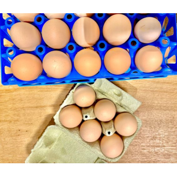 Birkenhof Ei 1 Stück