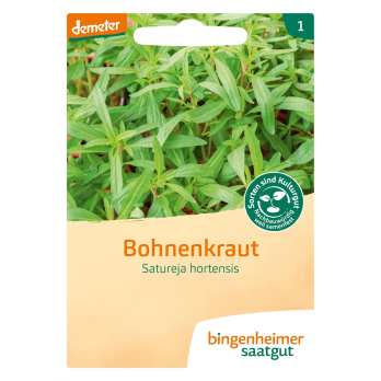 Bohnenkraut einjährig