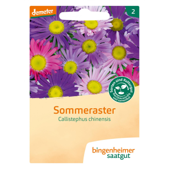 Sommeraster