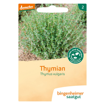 Thymian