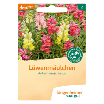 Löwenmäulchen