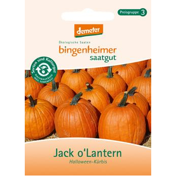 Jack O´Lantern