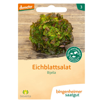 Eichblattsalat Bijella