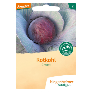 Rotkohl Granat